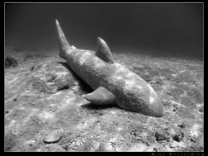 the stone shark. the result of an underwater arts project... by Rico Besserdich 